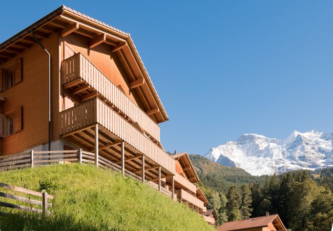Chalet in Wengen - Racers Retreat 5 Chalet in Wengen - Racers Retreat 5