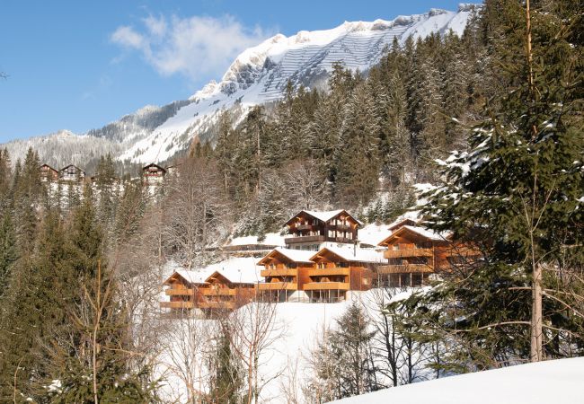 Chalet in Wengen - Racers Retreat 5 Chalet in Wengen - Racers Retreat 5