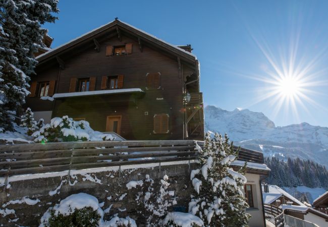 Ferienwohnung in Wengen - Chalet Sonneck Ferienwohnung in Wengen - Chalet Sonneck