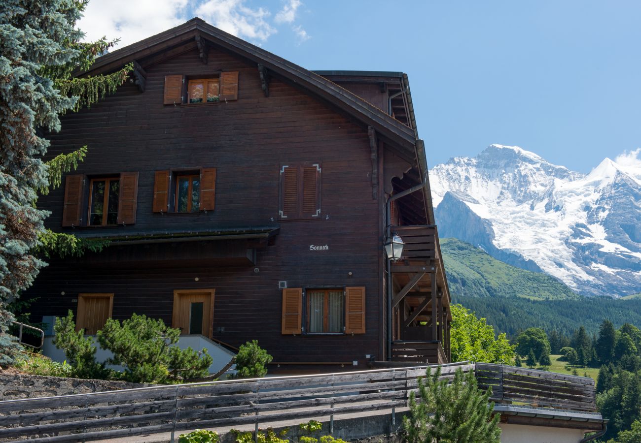 Ferienwohnung in Wengen - Chalet Sonneck Ferienwohnung in Wengen - Chalet Sonneck