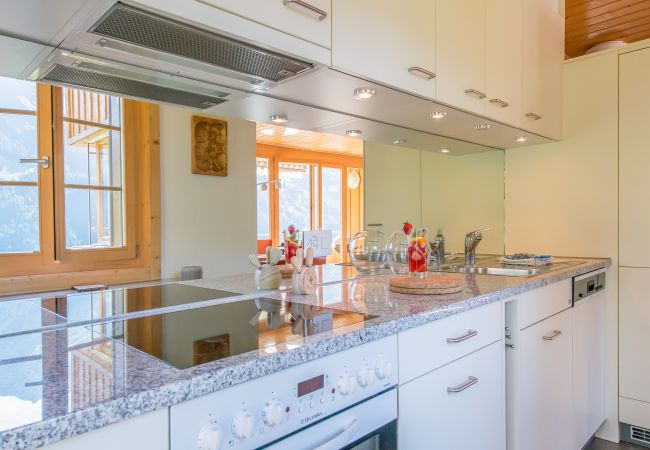 Ferienwohnung in Wengen - Chalet Sterndolde Apt. 3 Ferienwohnung in Wengen - Chalet Sterndolde Apt. 3