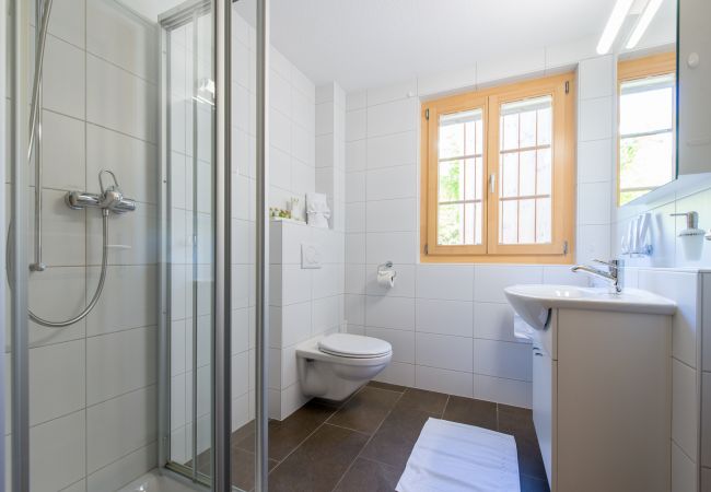 Ferienwohnung in Wengen - Chalet Sterndolde Apt. 3 Ferienwohnung in Wengen - Chalet Sterndolde Apt. 3