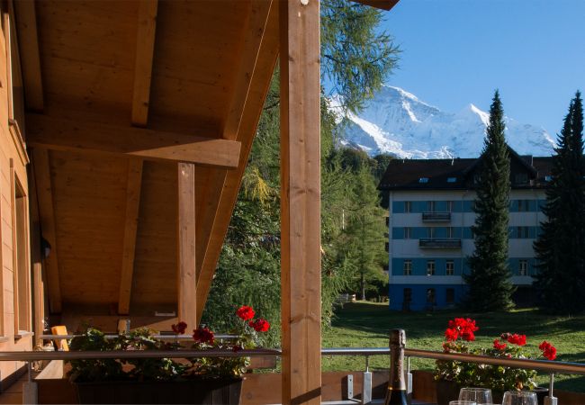 Ferienwohnung in Wengen - Chalet Luna Penthouse K Ferienwohnung in Wengen - Chalet Luna Penthouse K