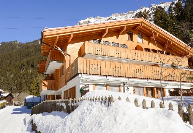 Ferienwohnung in Wengen - Waldbort - Grathoren Ferienwohnung in Wengen - Waldbort - Grathoren