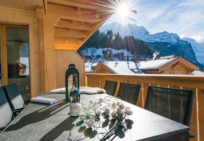  in Wengen - Panoramapark Soleil Eisblume Apt. 4