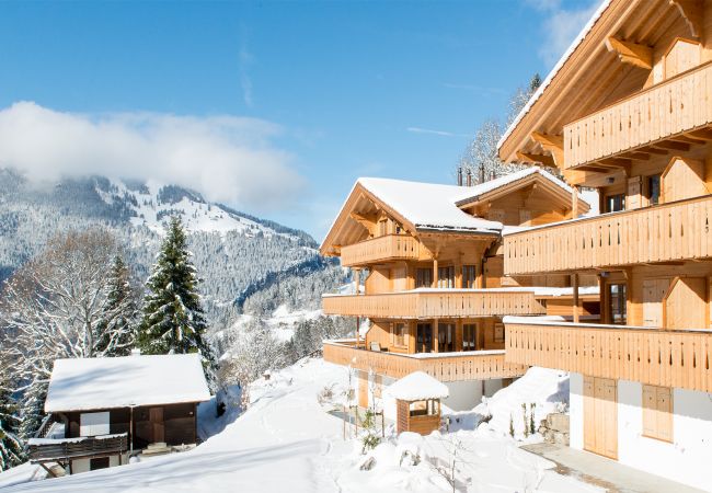 Ferienwohnung in Wengen - Panoramapark Soleil Alpenaster Ferienwohnung in Wengen - Panoramapark Soleil Alpenaster