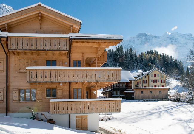 Ferienwohnung in Wengen - Panoramapark Soleil Alpenaster Ferienwohnung in Wengen - Panoramapark Soleil Alpenaster