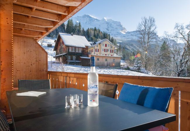 Ferienwohnung in Wengen - Panoramapark Soleil Alpenaster Ferienwohnung in Wengen - Panoramapark Soleil Alpenaster