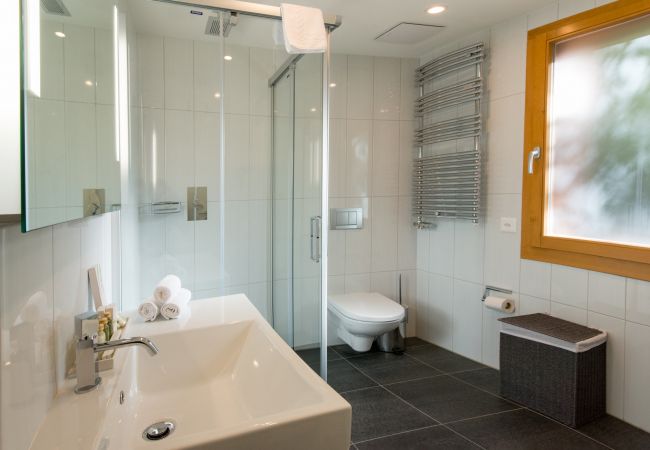 Ferienwohnung in Wengen - Chalet Waldschluecht Ferienwohnung in Wengen - Chalet Waldschluecht