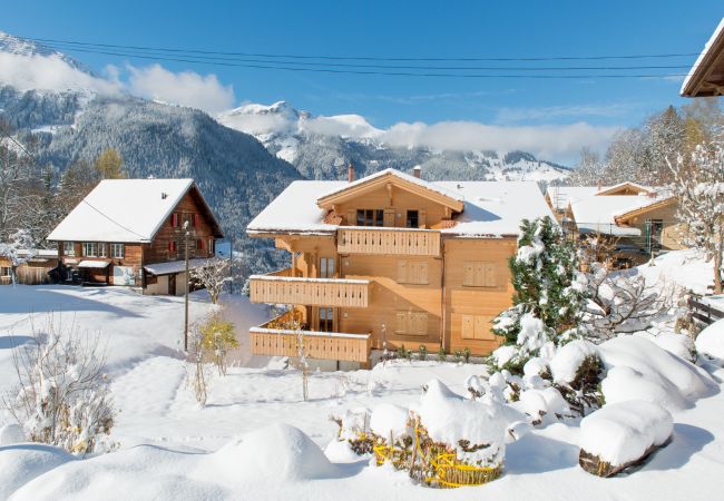 Ferienwohnung in Wengen - Panoramapark Soleil Camelia Apt. Akroyd Ferienwohnung in Wengen - Panoramapark Soleil Camelia Apt. Akroyd