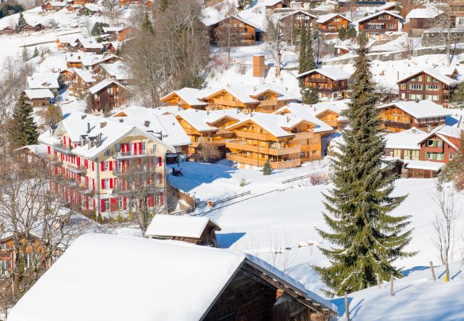 Ferienwohnung in Wengen - Panoramapark Soleil Camelia Apt. Akroyd Ferienwohnung in Wengen - Panoramapark Soleil Camelia Apt. Akroyd