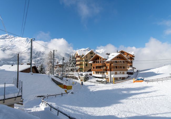 Ferienwohnung in Wengen - Chalet Stella Alpina Ferienwohnung in Wengen - Chalet Stella Alpina