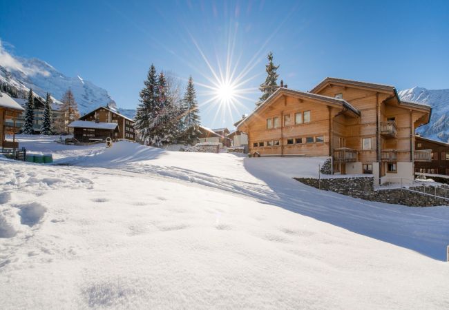 Ferienwohnung in Wengen - Chalet Sole Apt. 3 Ferienwohnung in Wengen - Chalet Sole Apt. 3