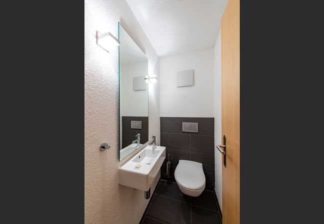 Ferienwohnung in Wengen - Chalet Sole Apt. 3 Ferienwohnung in Wengen - Chalet Sole Apt. 3