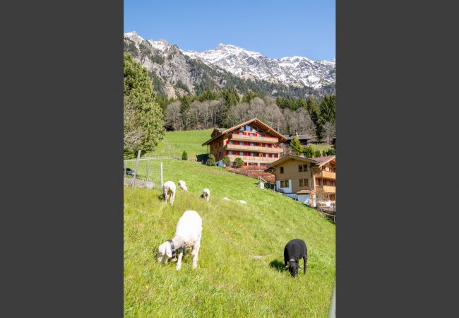 Ferienwohnung in Wengen - Chalet Bärgsunna Ferienwohnung in Wengen - Chalet Bärgsunna