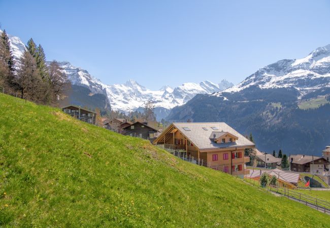 Ferienwohnung in Wengen - Chalet Bärgsunna Ferienwohnung in Wengen - Chalet Bärgsunna