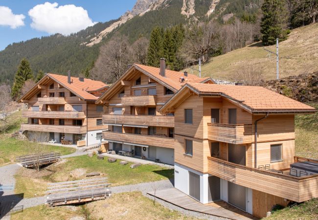 Ferienwohnung in Wengen - Chalet Hundschopf Ferienwohnung in Wengen - Chalet Hundschopf