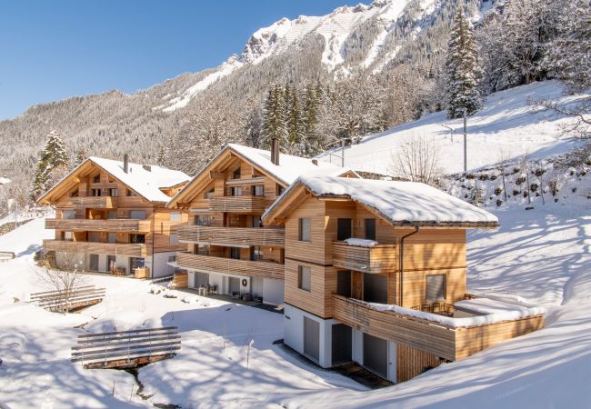 Ferienwohnung in Wengen - Chalet Hundschopf Ferienwohnung in Wengen - Chalet Hundschopf