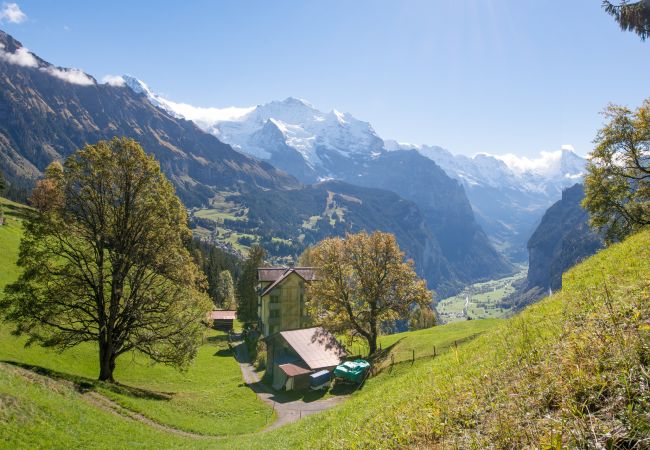 Ferienwohnung in Wengen - Chalet Hunnenfluh Garden Apartment Ferienwohnung in Wengen - Chalet Hunnenfluh Garden Apartment