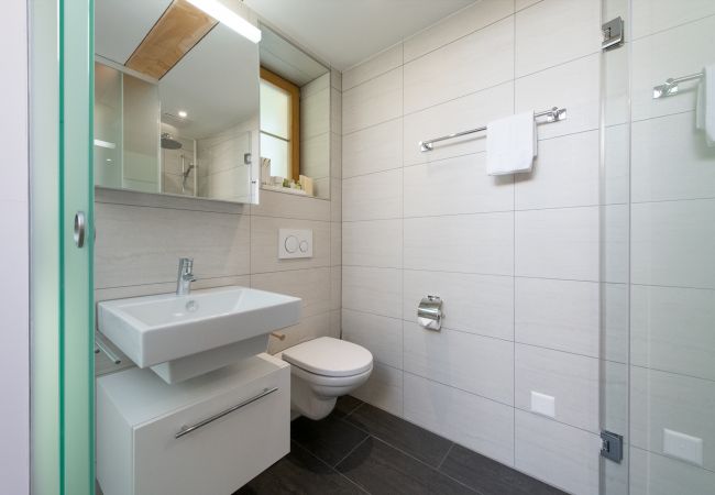 Appartement à Wengen - Panoramapark Soleil Eisblume Penthouse Appartement à Wengen - Panoramapark Soleil Eisblume Penthouse