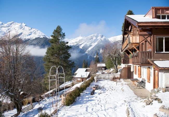 Chalet à Wengen - Chalet Ledibach Chalet à Wengen - Chalet Ledibach