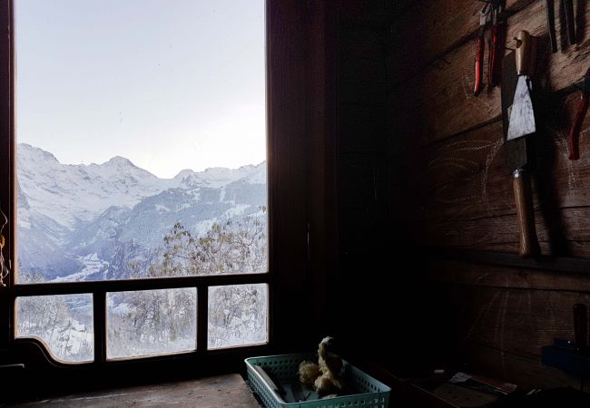 Chalet à Wengen - Chalet Ledibach Chalet à Wengen - Chalet Ledibach