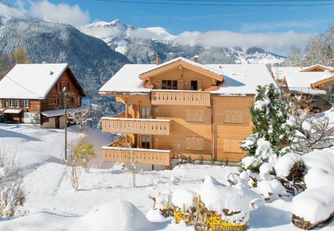 Appartement à Wengen - Panoramapark Soleil Camelia Apt. Silverpeak Appartement à Wengen - Panoramapark Soleil Camelia Apt. Silverpeak