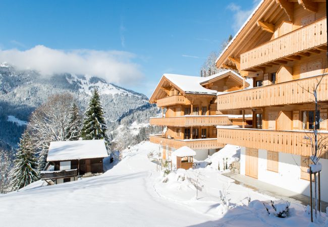 Appartement à Wengen - Panoramapark Soleil Bietenhorn Appartement à Wengen - Panoramapark Soleil Bietenhorn