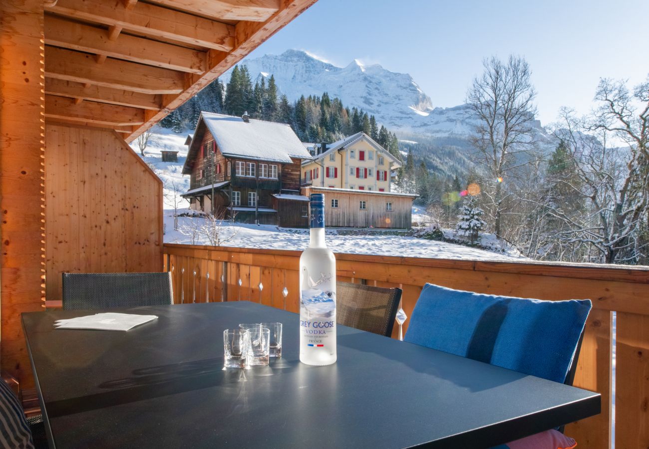 Appartement à Wengen - Panoramapark Soleil Alpenaster Appartement à Wengen - Panoramapark Soleil Alpenaster