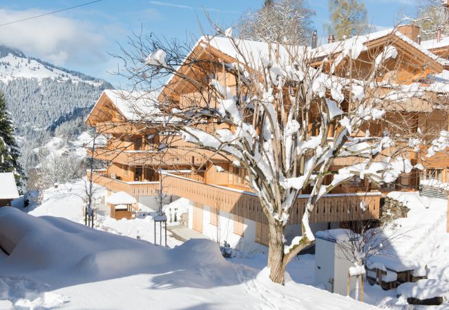 Appartement à Wengen - Panoramapark Soleil Camelia Apt. Akroyd Appartement à Wengen - Panoramapark Soleil Camelia Apt. Akroyd