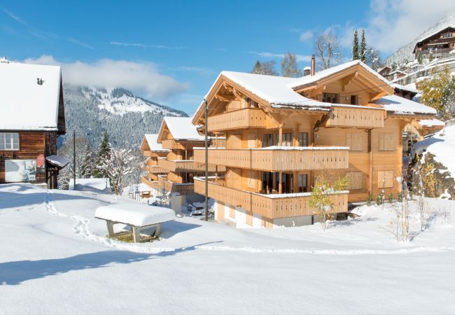 Appartement à Wengen - Panoramapark Soleil Camelia Apt. Akroyd Appartement à Wengen - Panoramapark Soleil Camelia Apt. Akroyd