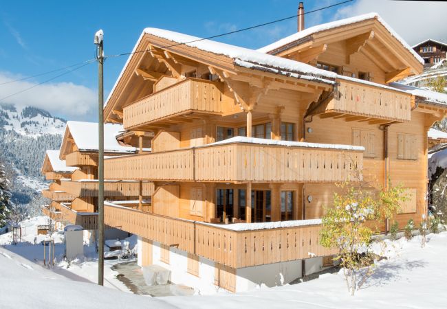 Appartement à Wengen - Panoramapark Soleil Camelia Apt. Akroyd Appartement à Wengen - Panoramapark Soleil Camelia Apt. Akroyd