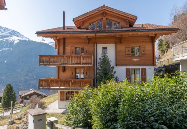 Appartement à Wengen - Chalet Bergrose Appartement à Wengen - Chalet Bergrose
