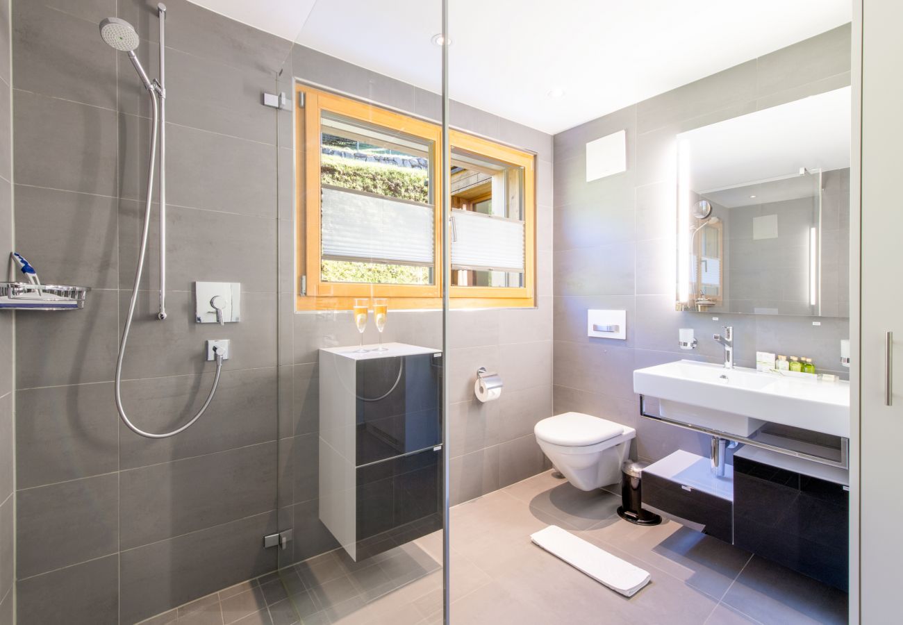 Appartement à Wengen - Chalet Mönchsbüffel Appartement à Wengen - Chalet Mönchsbüffel