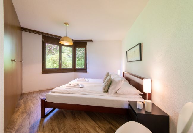 Appartement à Wengen - Chalet Petunia Appartement à Wengen - Chalet Petunia