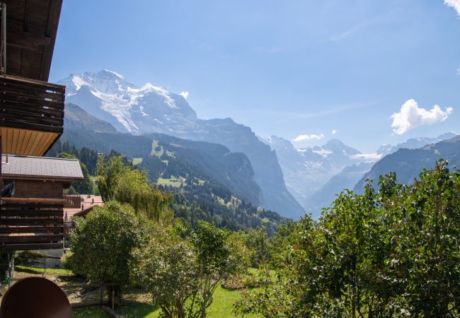 Appartement à Wengen - Chalet Iris Appartement à Wengen - Chalet Iris