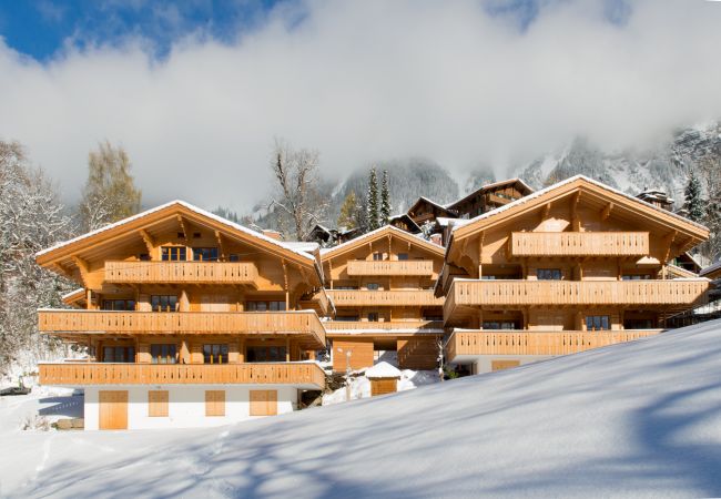 Appartement à Wengen - Panoramapark Soleil Eisblume Apt. 3 Appartement à Wengen - Panoramapark Soleil Eisblume Apt. 3