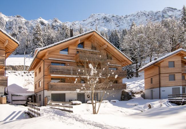 Appartement à Wengen - Chalet Hundschopf Appartement à Wengen - Chalet Hundschopf