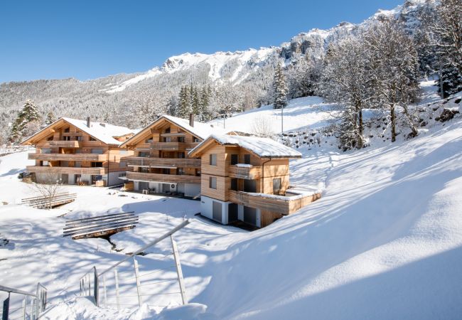 Appartement à Wengen - Chalet Hundschopf Appartement à Wengen - Chalet Hundschopf