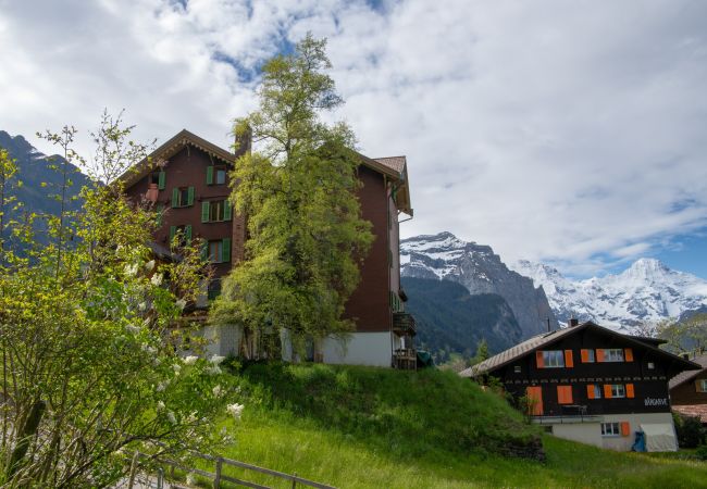 Appartement à Wengen - Chalet Montana Apt. 2OG Appartement à Wengen - Chalet Montana Apt. 2OG