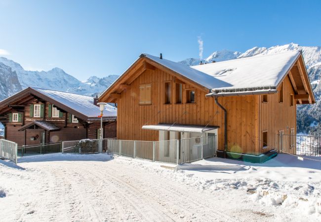 Appartement à Wengen - Chalet Sterndolde Apt. 1 Appartement à Wengen - Chalet Sterndolde Apt. 1