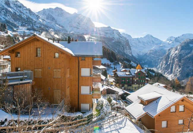 Appartement à Wengen - Chalet Sterndolde Apt. 1 Appartement à Wengen - Chalet Sterndolde Apt. 1