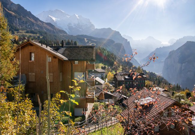 Appartement à Wengen - Chalet Sterndolde Apt. 1 Appartement à Wengen - Chalet Sterndolde Apt. 1
