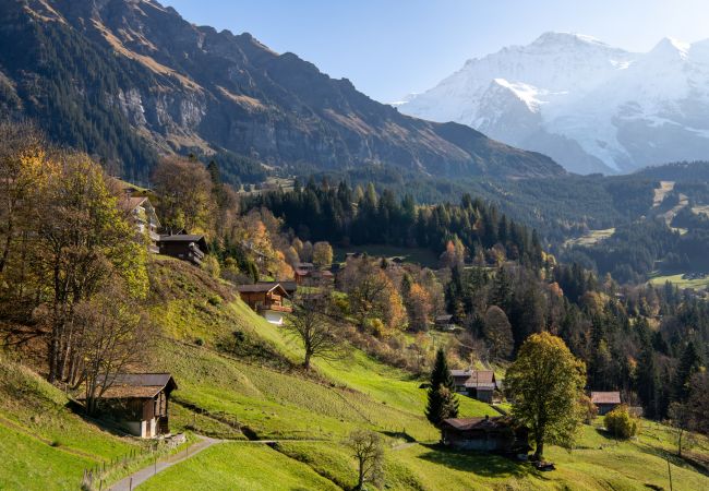 Appartement à Wengen - Chalet Silence Appartement à Wengen - Chalet Silence