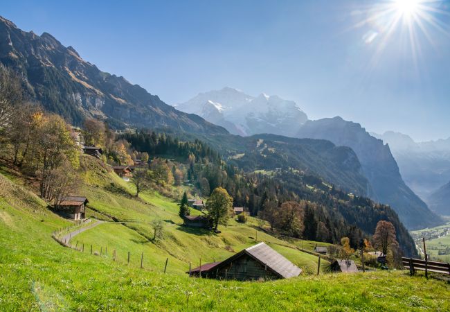 Appartement à Wengen - Chalet Silence Appartement à Wengen - Chalet Silence