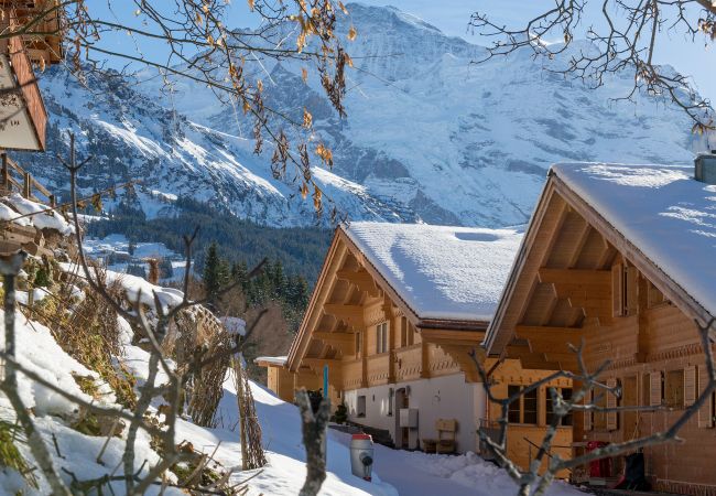Apartment in Wengen - Chalet Aberot Penthouse Apartment in Wengen - Chalet Aberot Penthouse