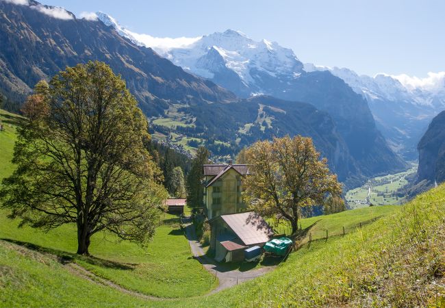 Apartment in Wengen - Chalet Hunnenfluh Apartment in Wengen - Chalet Hunnenfluh
