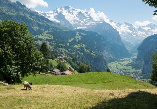 Apartment in Wengen - Chalet Hunnenfluh Apartment in Wengen - Chalet Hunnenfluh