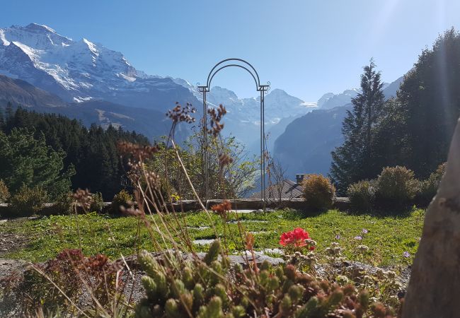 Chalet in Wengen - Chalet Ledibach Chalet in Wengen - Chalet Ledibach