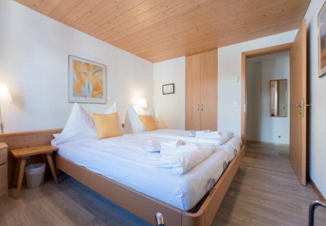 Apartment in Wengen - Chalet Millennium Apartment in Wengen - Chalet Millennium